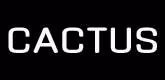 logo Cactus